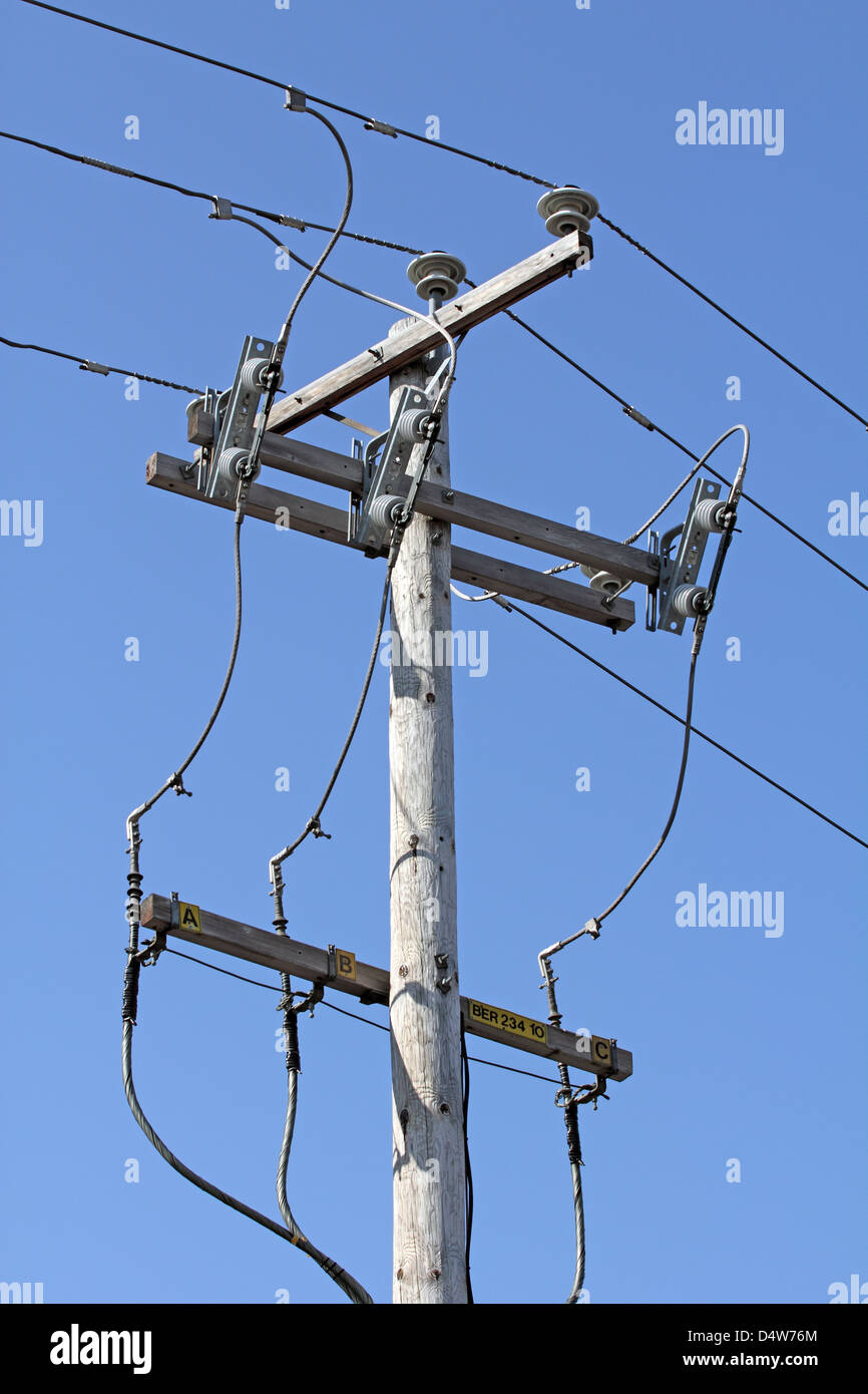 Pilone elettrico Foto Stock