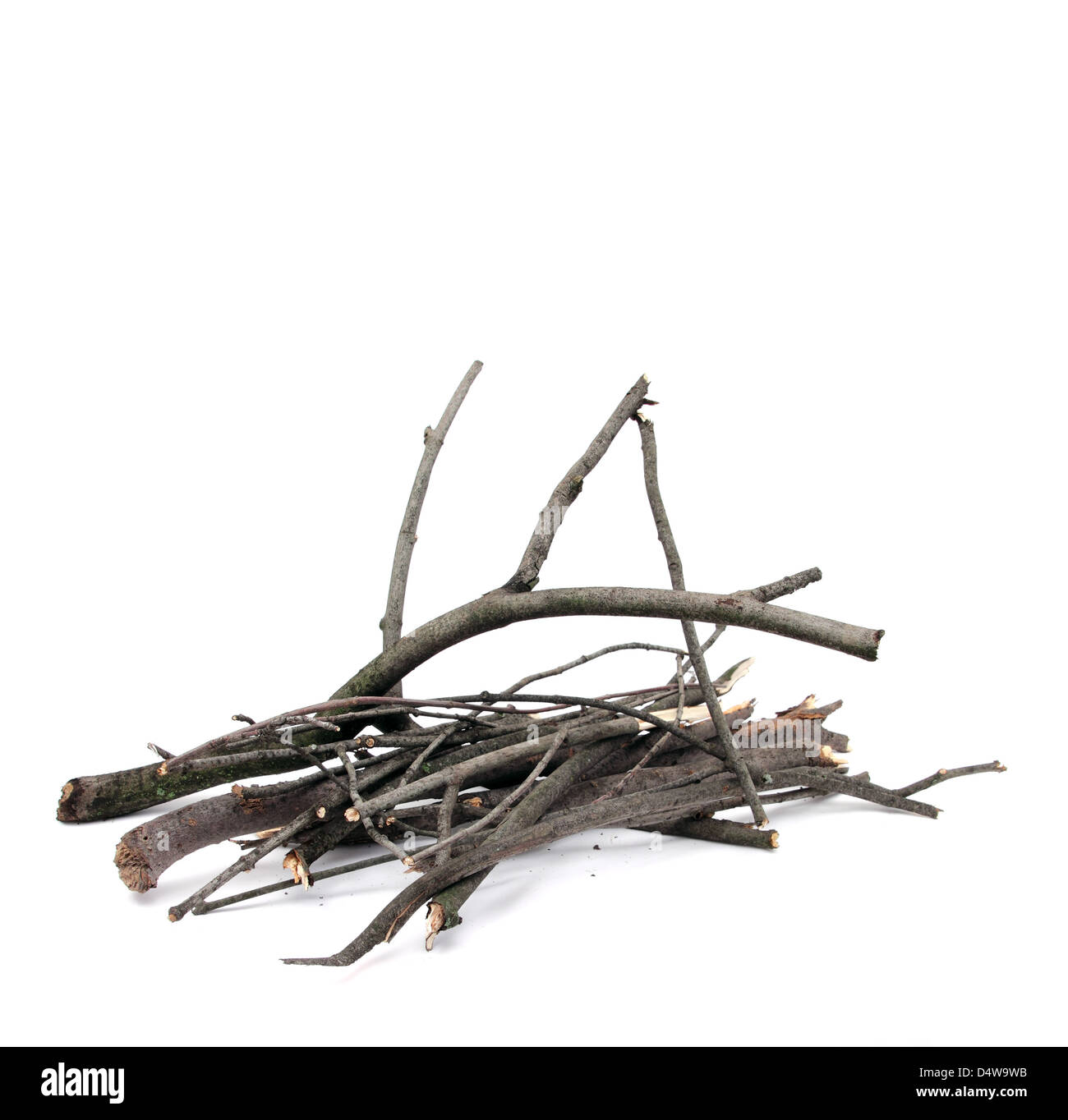 fare un fuoco Foto Stock