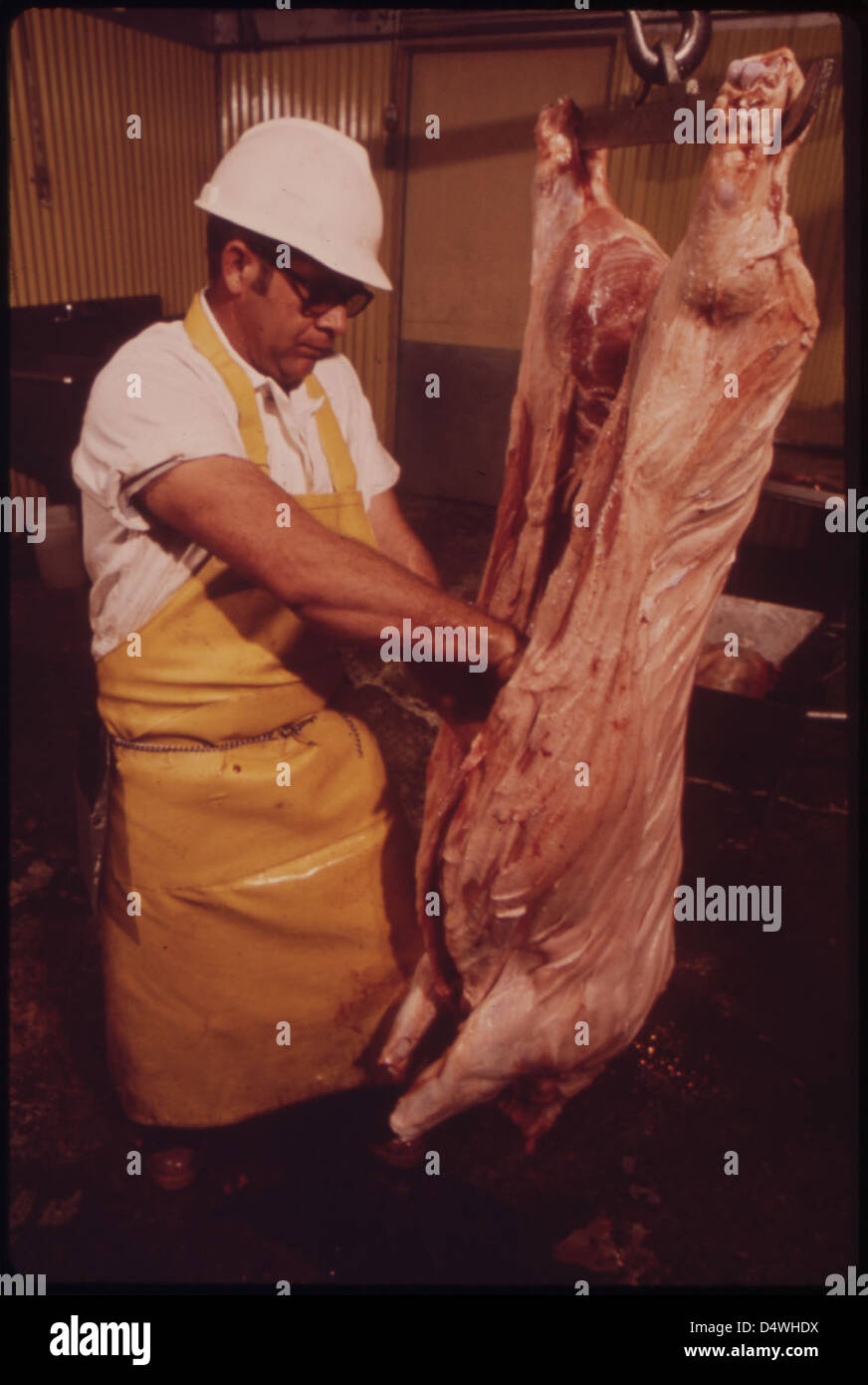 Lo stabilimento di imballaggio Rifle, situato nel Colorado occidentale, lavora bestiame coltivato localmente. Questo impianto di imballaggio a conduzione familiare è una delle poche piccole imprese di imballaggio della zona ed è documentato nel progetto DOCUMERICA. Foto Stock