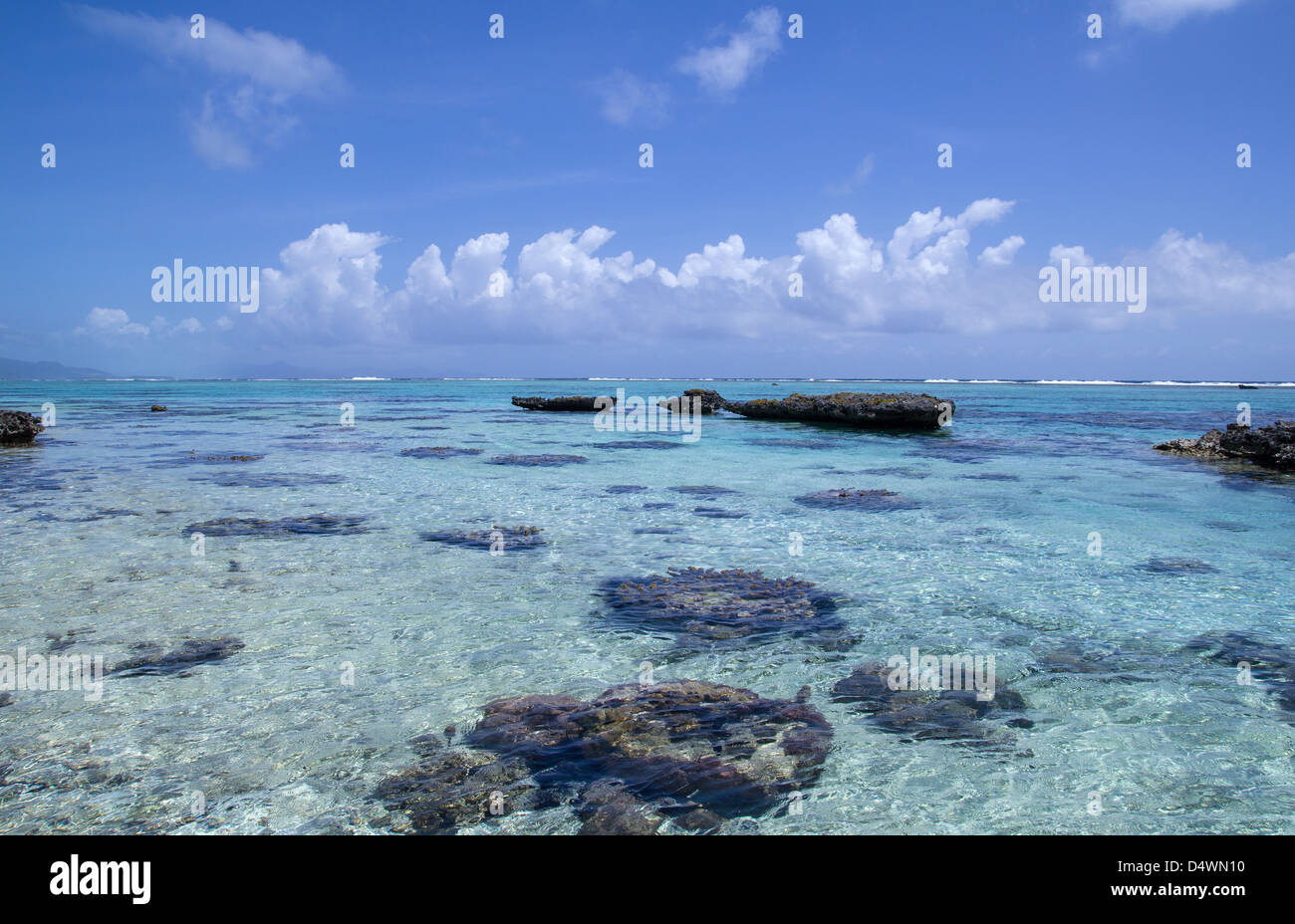 Tropical reef turchese Foto Stock