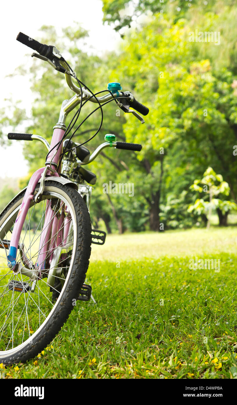 In bicicletta nel parco Foto Stock