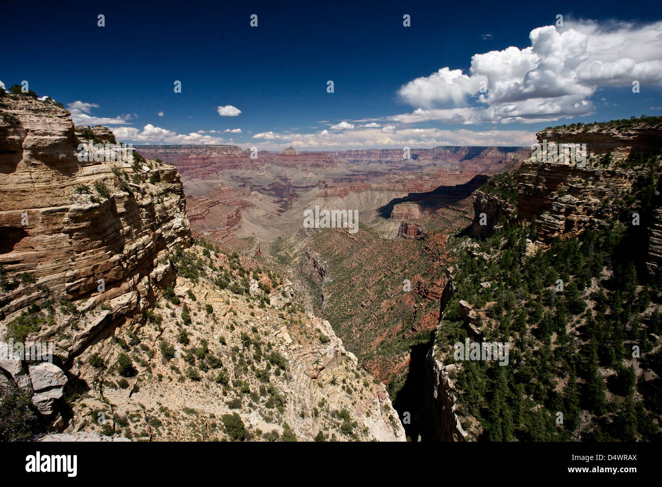 Grand Canyon come visto dal tubo Creek Vista sul South Rim, Arizona, Stati Uniti. Foto Stock