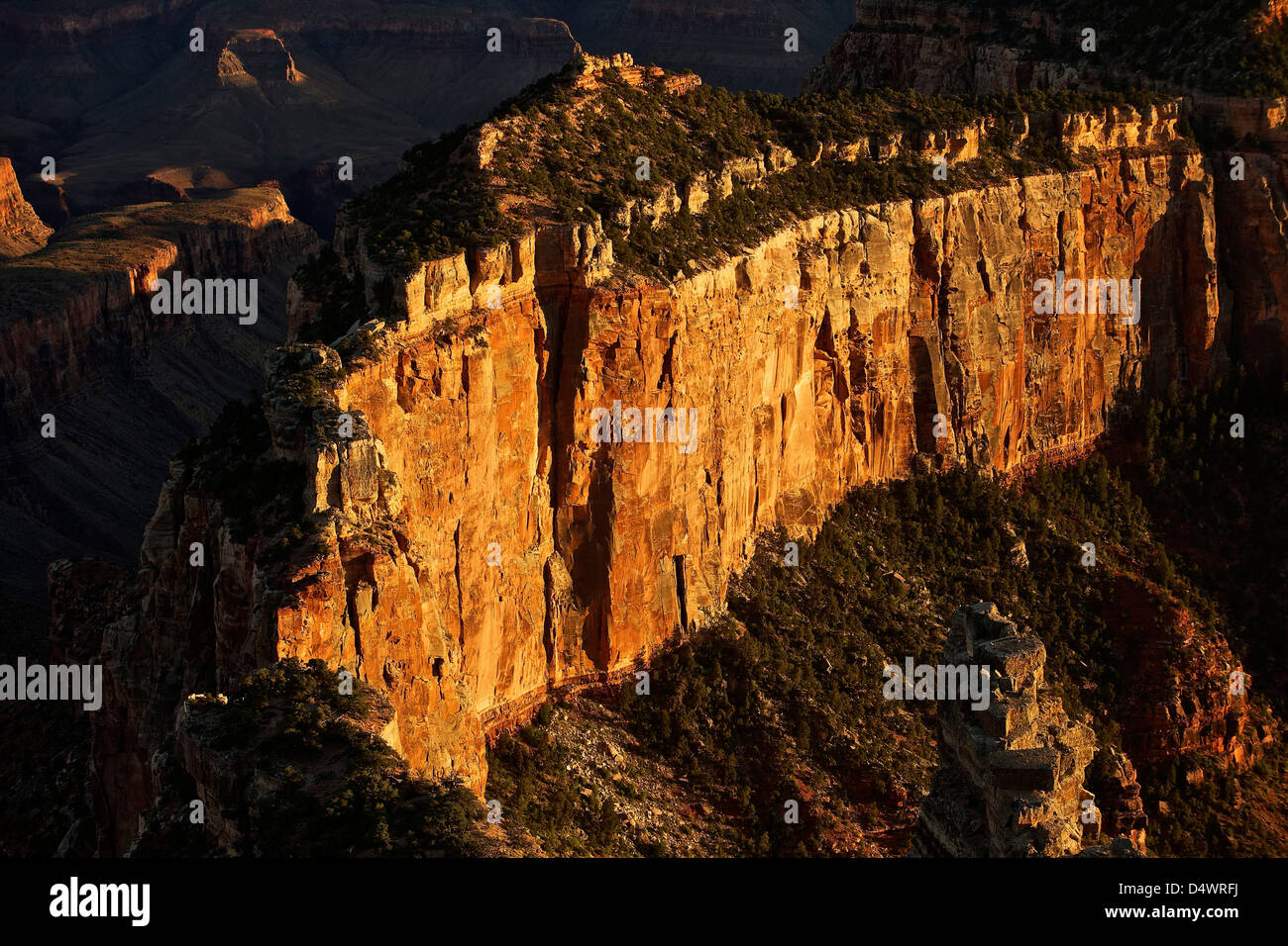 Wotan ha il trono, il Parco Nazionale del Grand Canyon, Arizona, Stati Uniti. Foto Stock