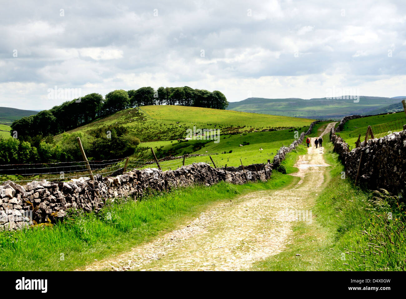 Un sentiero che conduce a Horton in Ribblesdale nel Yorkshire Dales National Park, Inghilterra Foto Stock