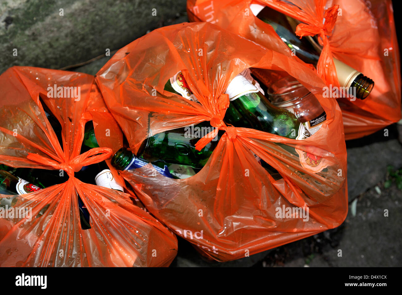 Birra vuote e le bottiglie di vino in sacchetti di rifiuti, Foto Stock