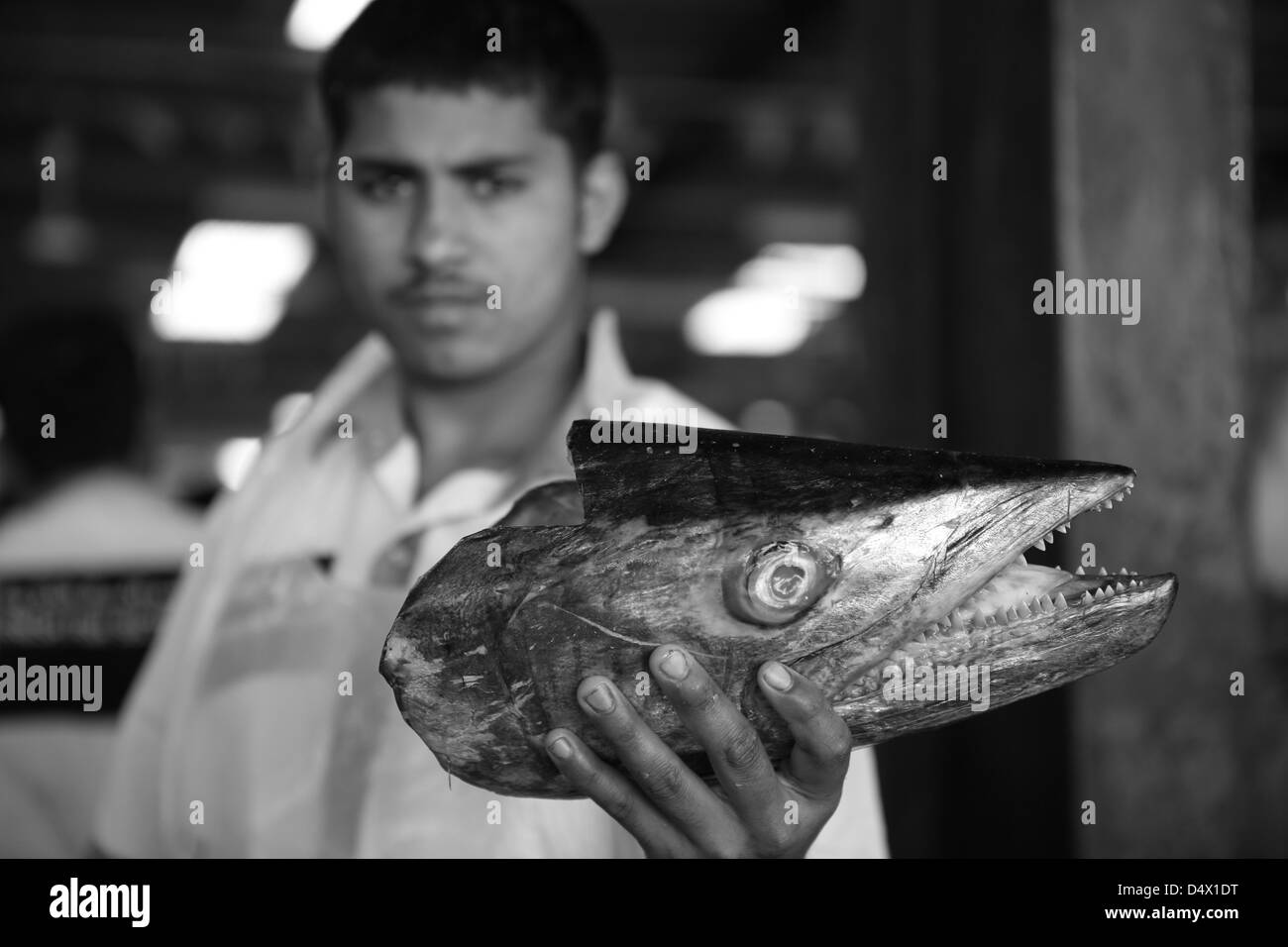 L'uomo mantenendo la testa di pesce al mercato, Dubai, Emirati Arabi Uniti Foto Stock