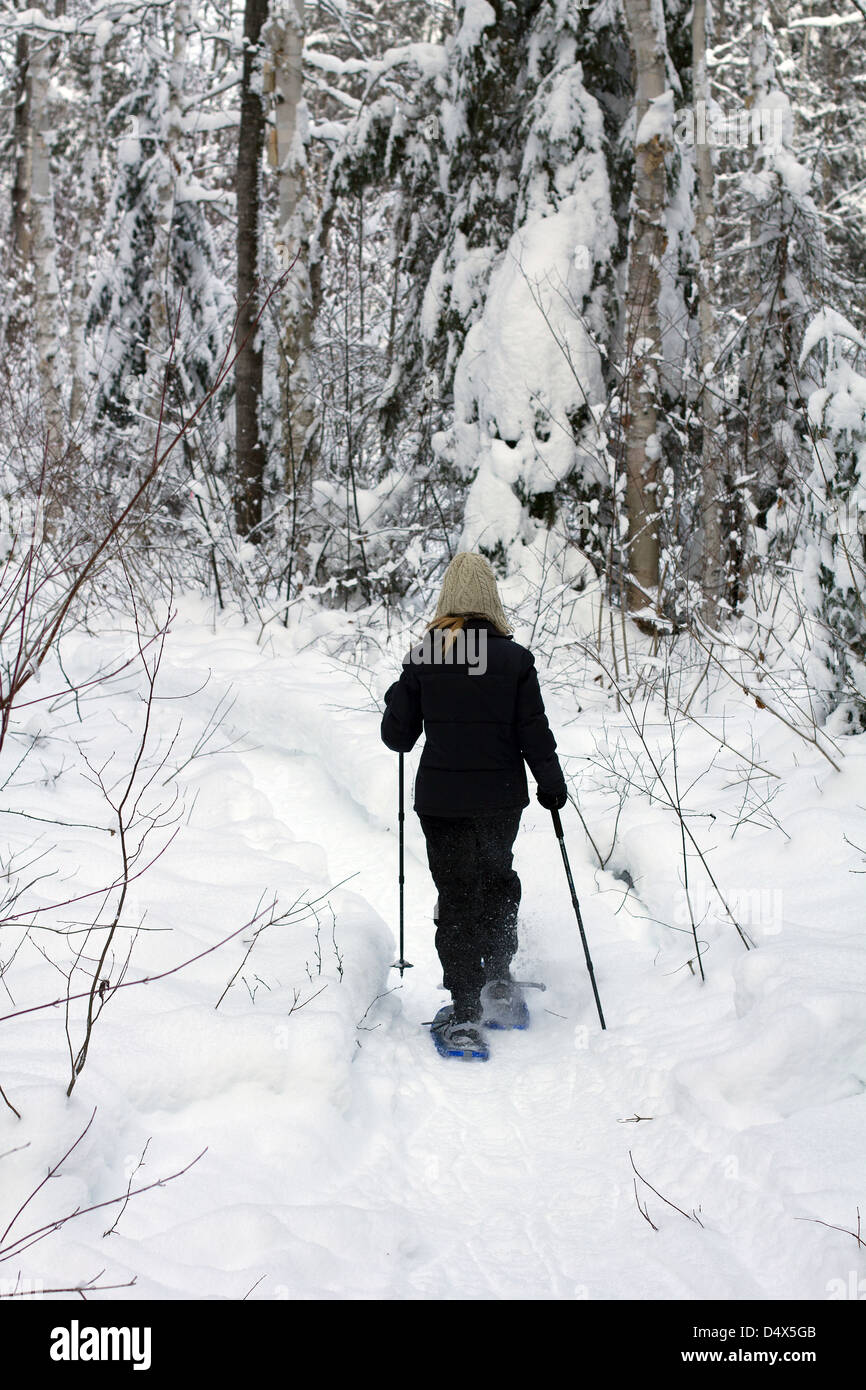 Foresta di fare escursioni con le racchette da neve Foto Stock