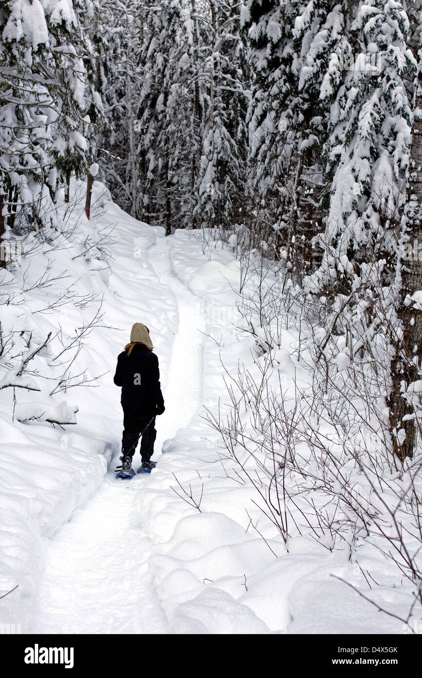 Foresta di fare escursioni con le racchette da neve Foto Stock