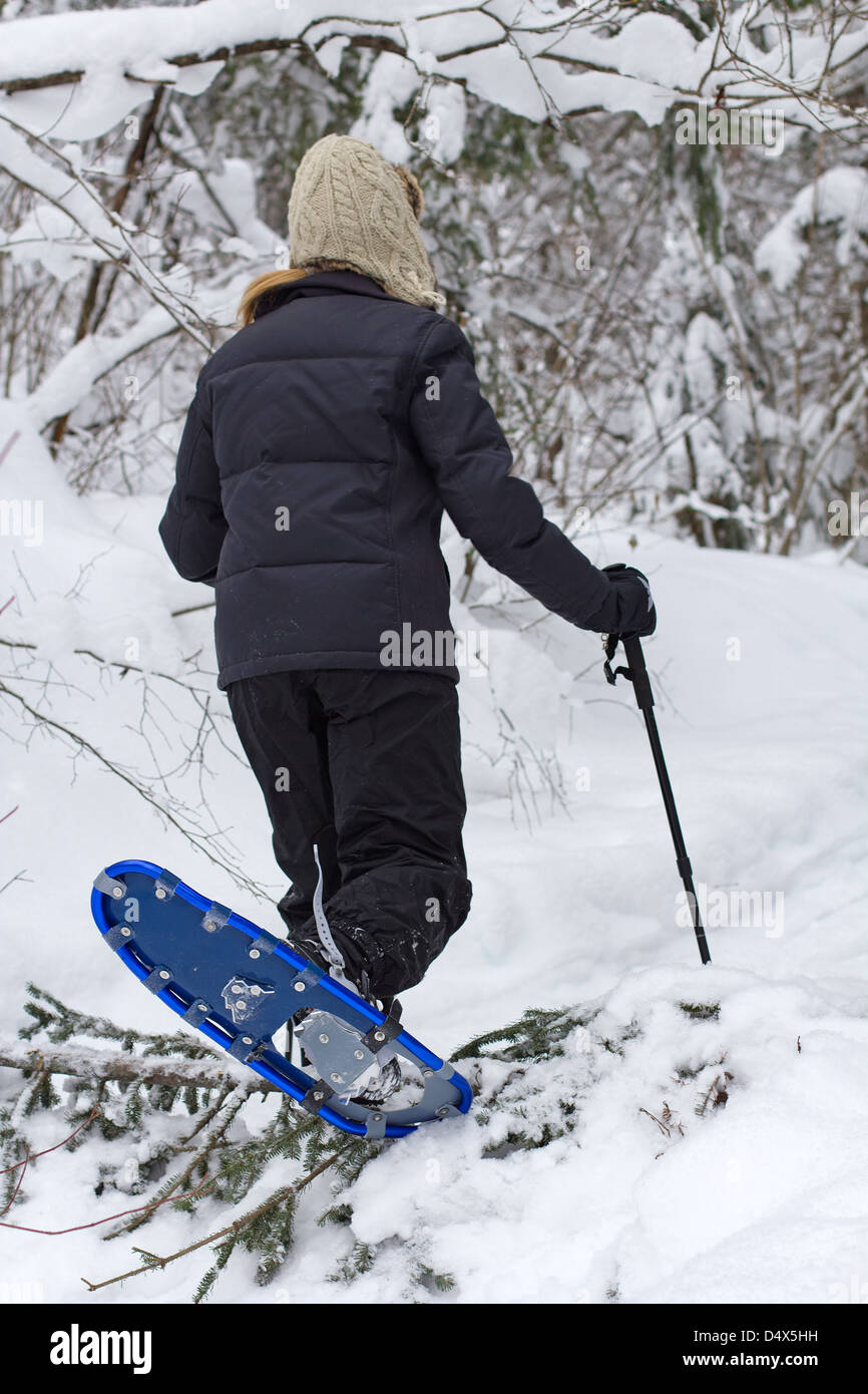 Foresta di fare escursioni con le racchette da neve Foto Stock