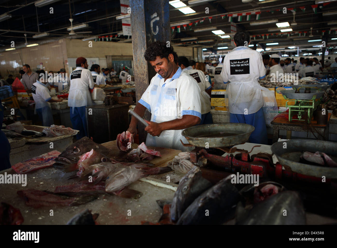 Mercato del Pesce, Dubai, Emirati Arabi Uniti Foto Stock