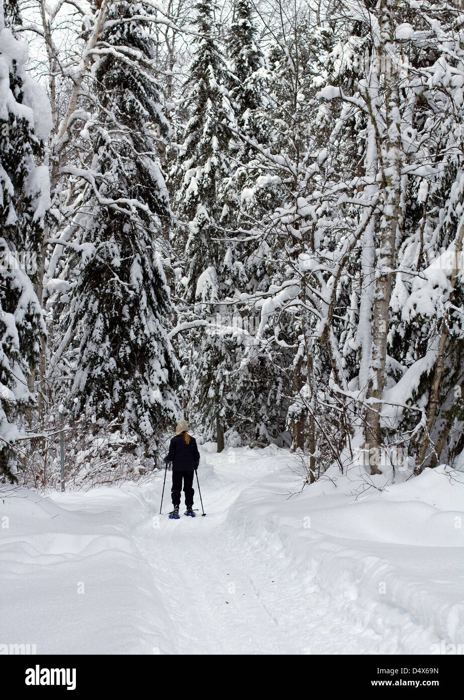 Foresta di fare escursioni con le racchette da neve Foto Stock