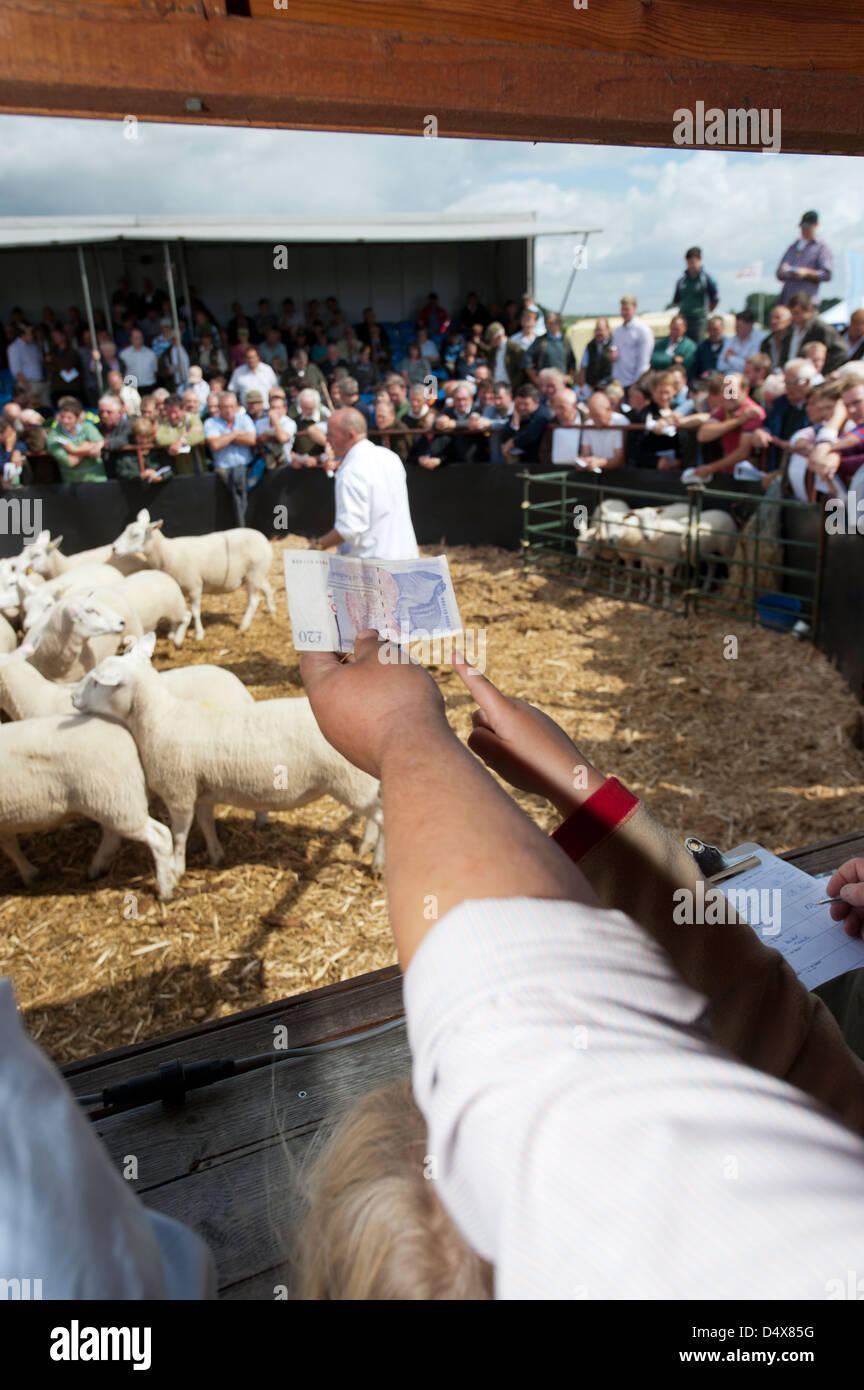 L'agricoltore che detiene 'fortuna denaro" in occasione di una vendita. Foto Stock