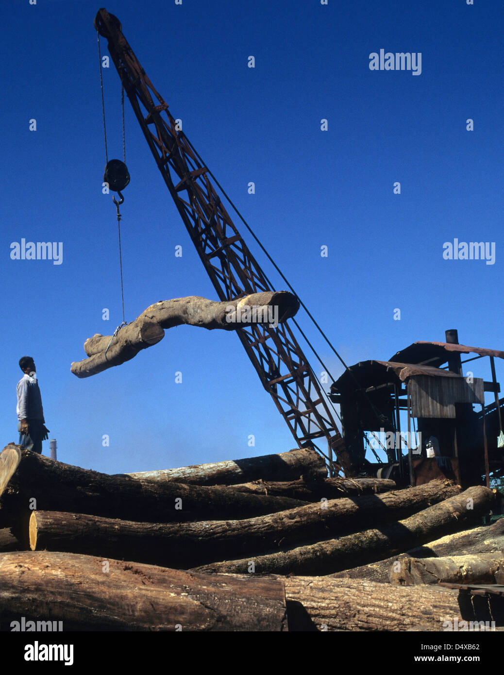 Un condotto di vapore il sollevamento con gru log in un deposito di legname nei pressi di Encarnación, Paraguay. Foto Stock