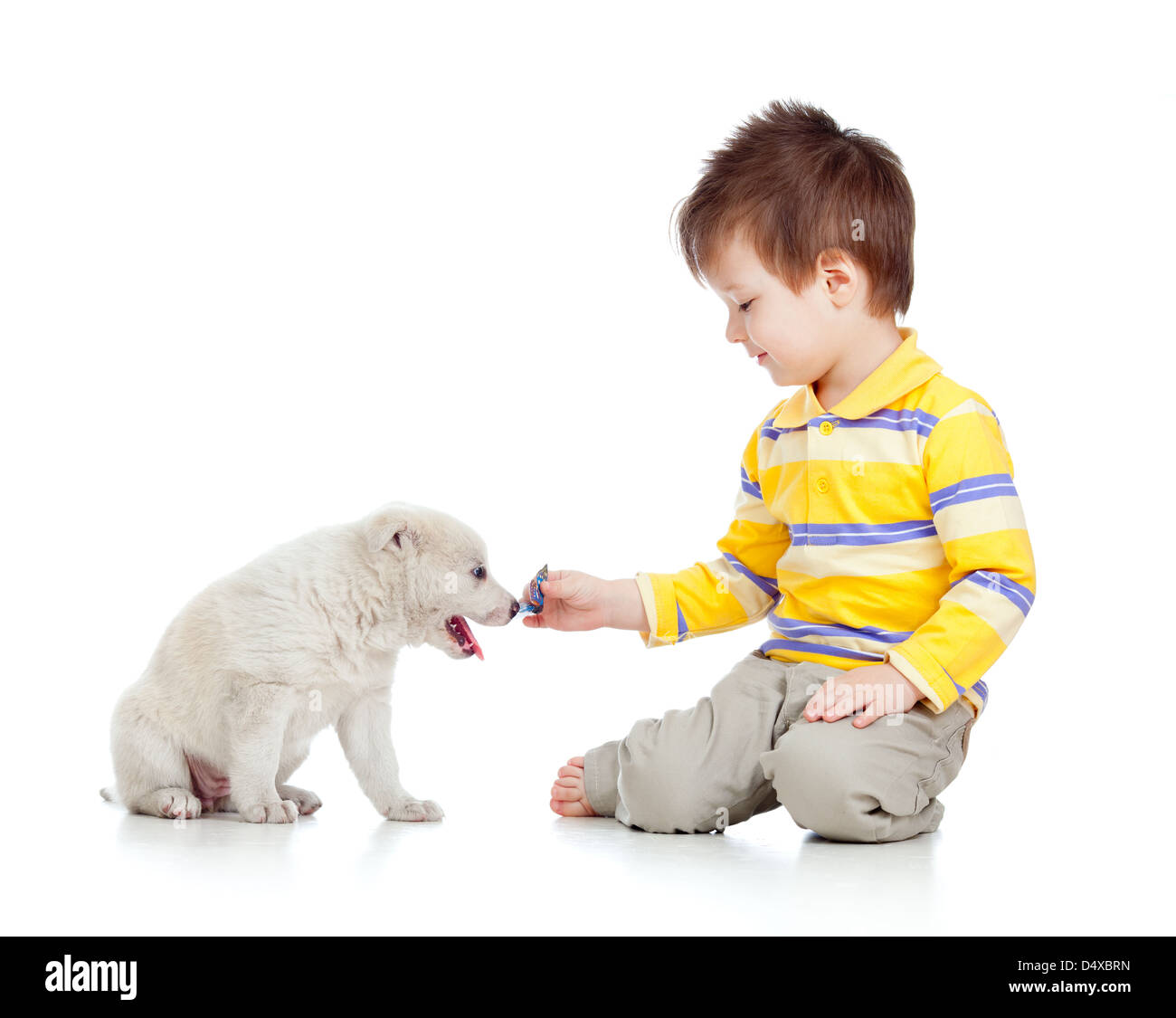Adorabile ragazzo giocando con un cucciolo Foto Stock