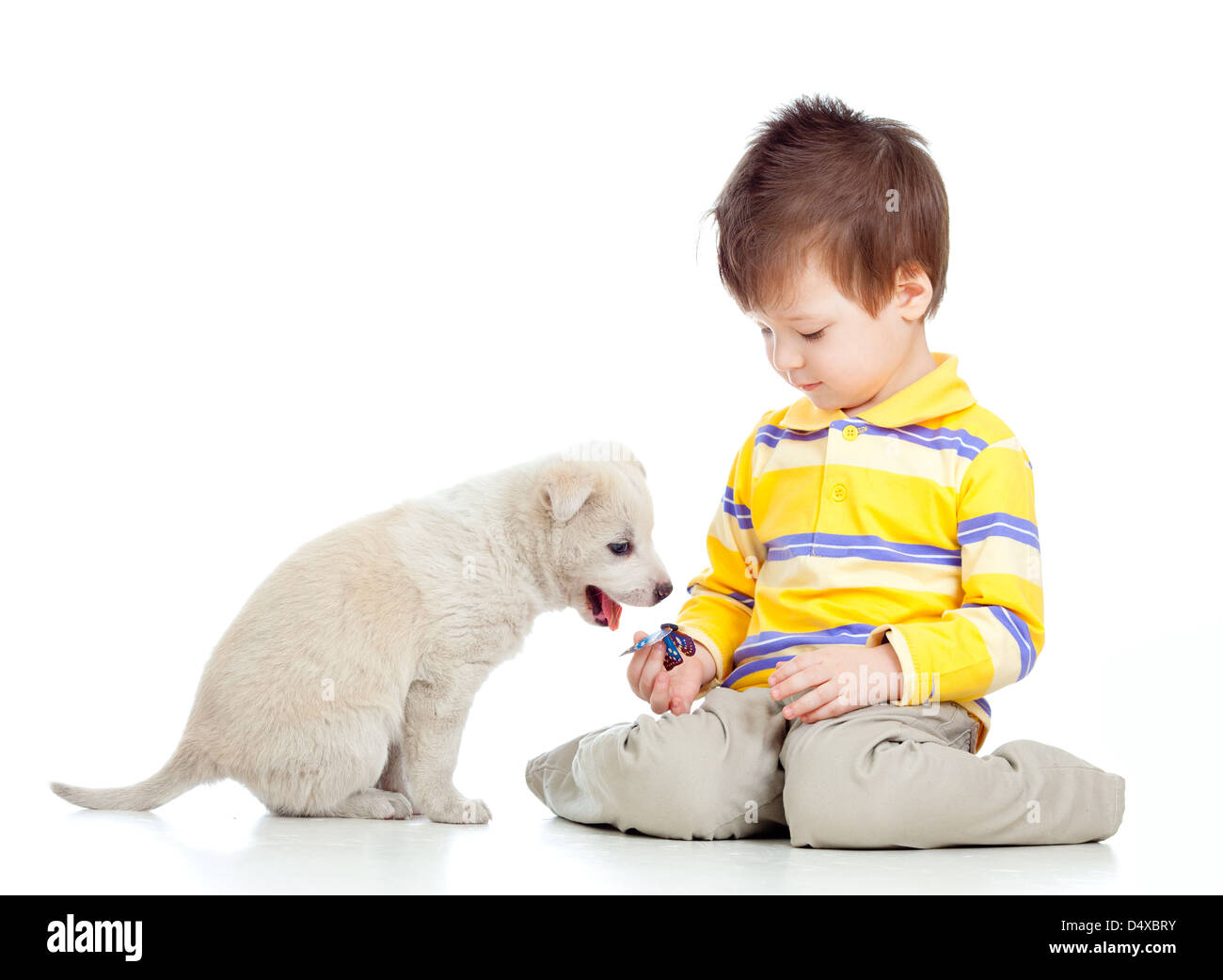 Adorable kid ragazzo giocando con un cucciolo Foto Stock