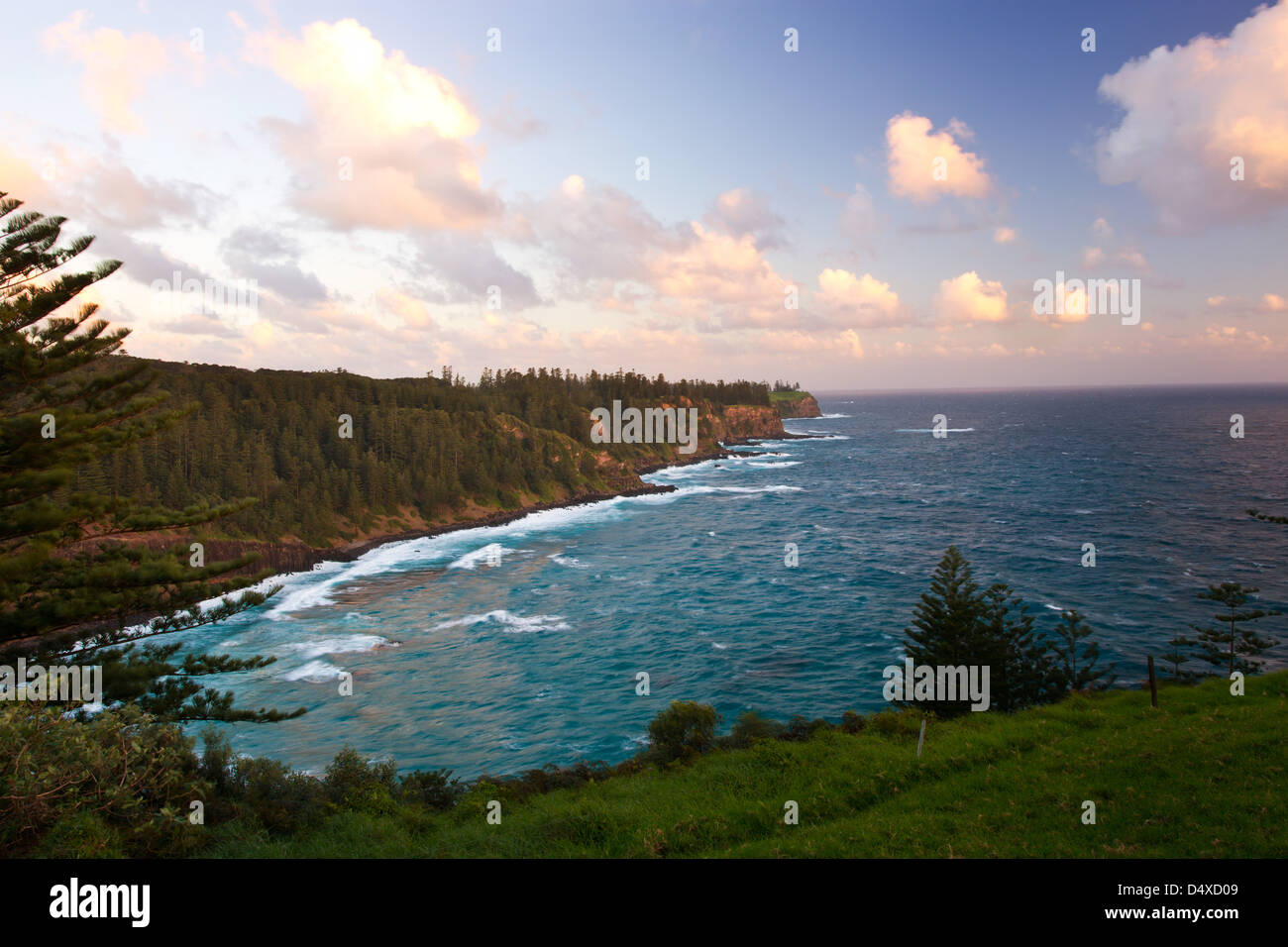 Costa frastagliata e Isola Norfolk Pines, Norfolk Island, in Australia Foto Stock