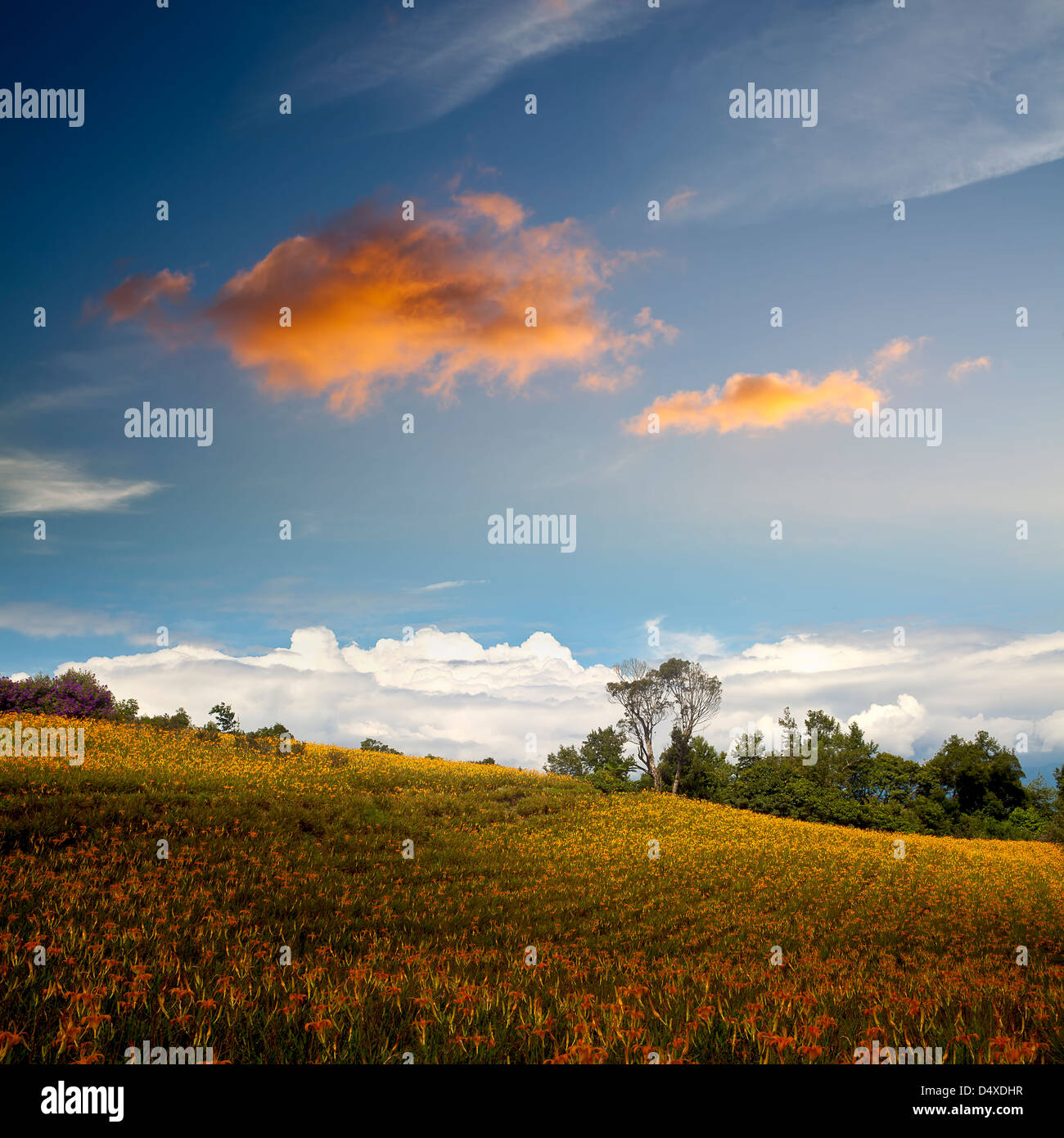 La primavera nelle Alpi con la montagna per adv o altri usi Foto Stock