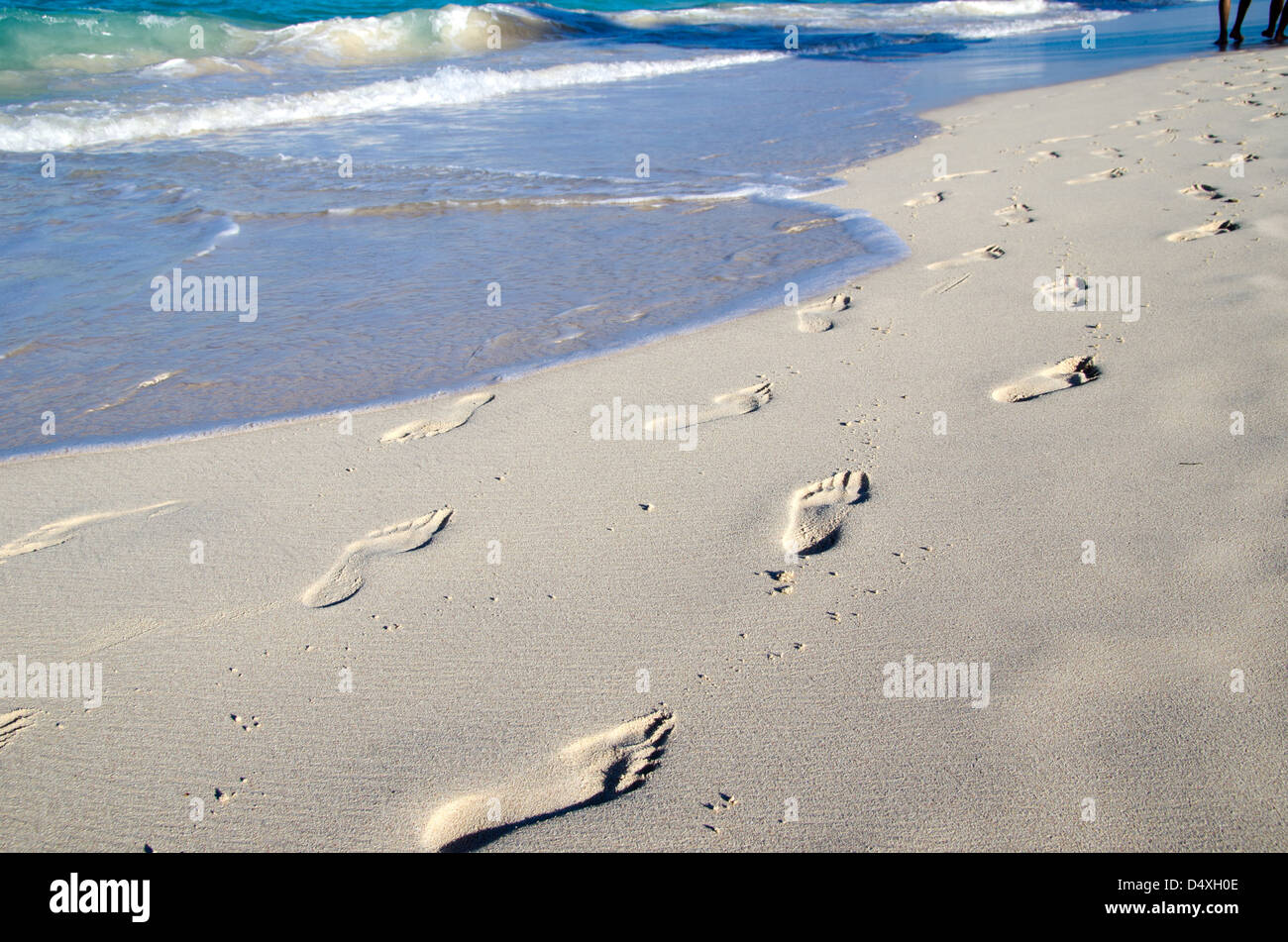 Orme nella sabbia bagnata di spiaggia Foto Stock