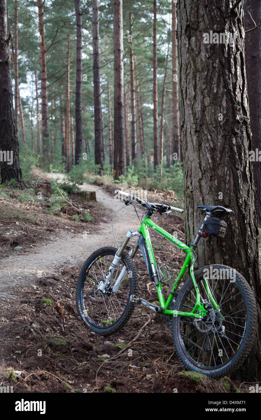 Mountain bike a Swinley Forest, vicino a Bracknell nel Berkshire Foto Stock