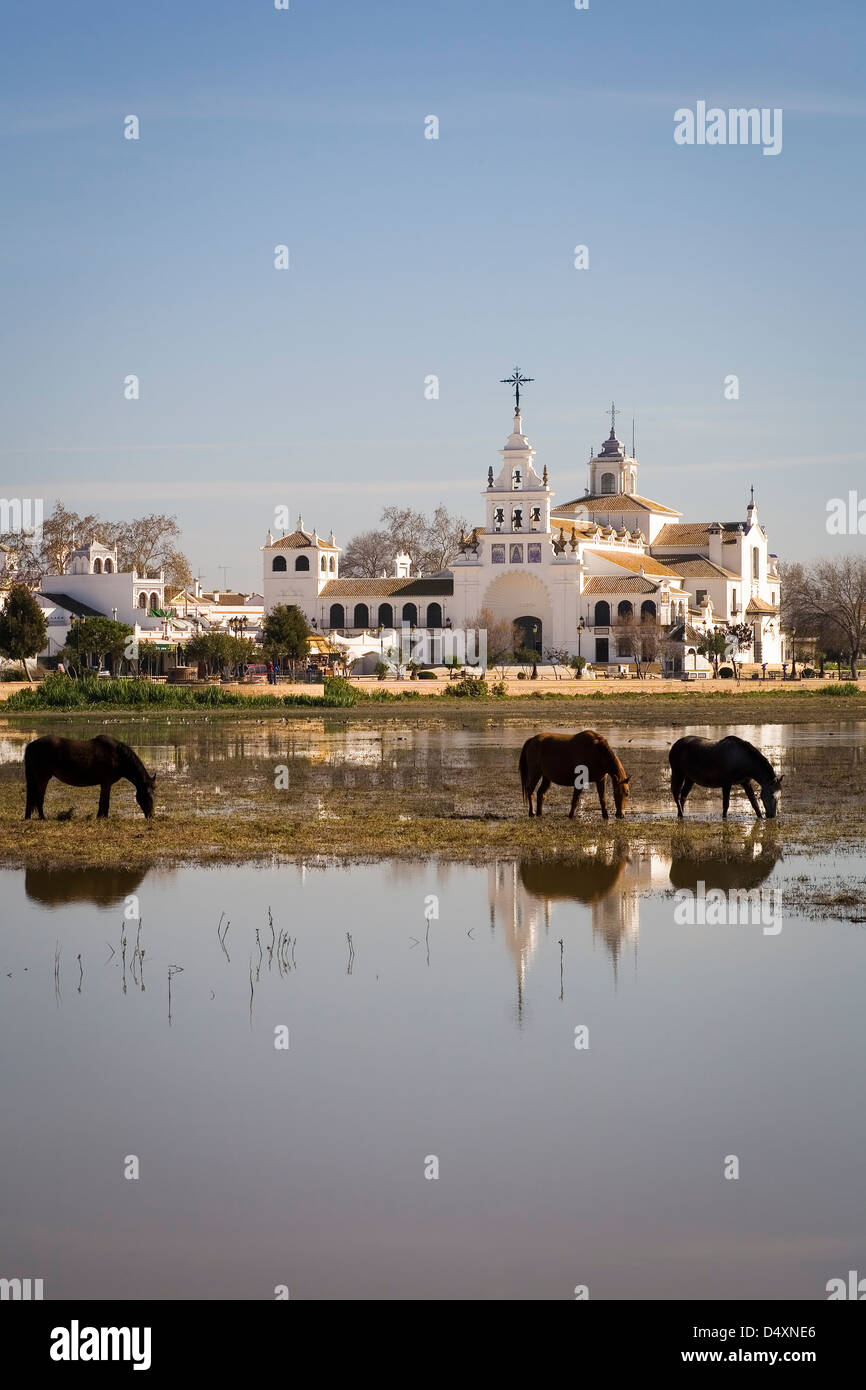 Cavalli intorno alla Chiesa di El Rocío, paludi, Almonte, Huelva, Spagna Foto Stock