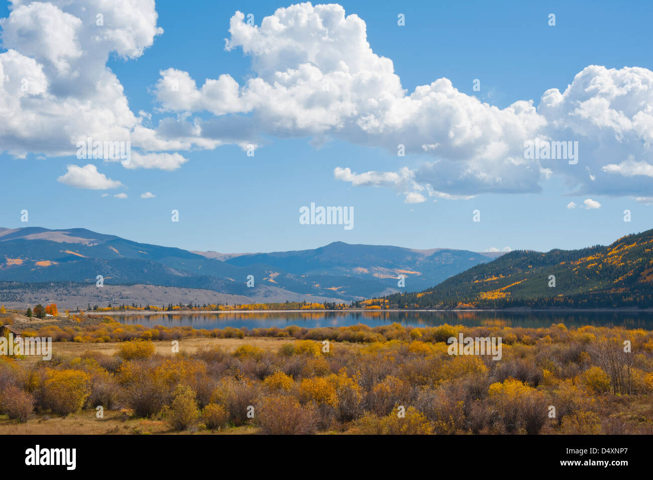 Qui gli ori e arance di arbusti e alberi aderire al litorale dei Laghi Gemelli nelle Montagne Rocciose. Foto Stock