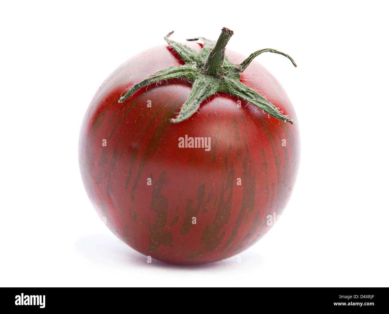 Pomodoro marrone closeup isolato su bianco Foto Stock