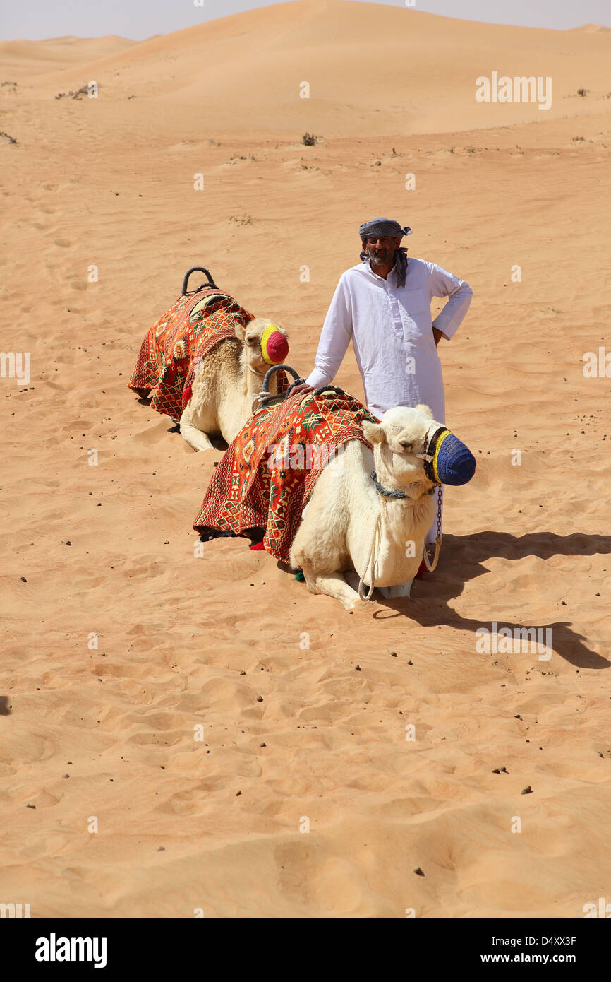 Uomo con i cammelli nel deserto, Dubai, Emirati Arabi Uniti Foto Stock