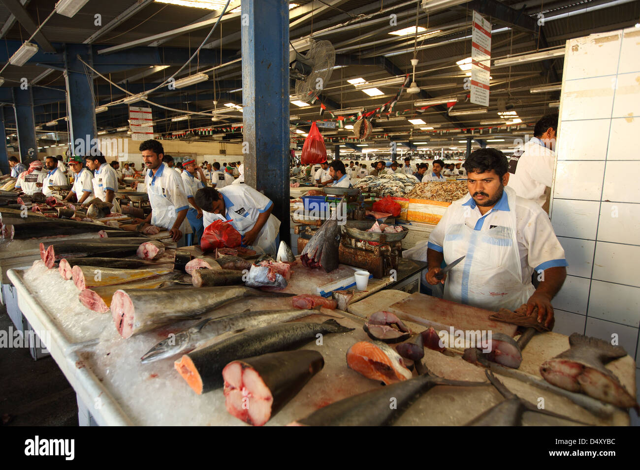 Mercato del Pesce, Dubai, Emirati Arabi Uniti Foto Stock