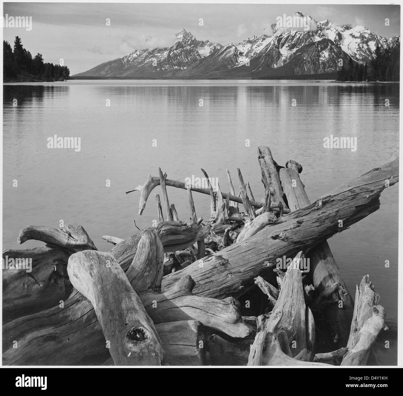 Una fotografia in bianco e nero di Ansel Adams che mostra il lago Jackson in primo piano con il Teton Range sullo sfondo, scattata dall'estremità nord del lago nel Grand Teton National Park, Wyoming. Foto Stock