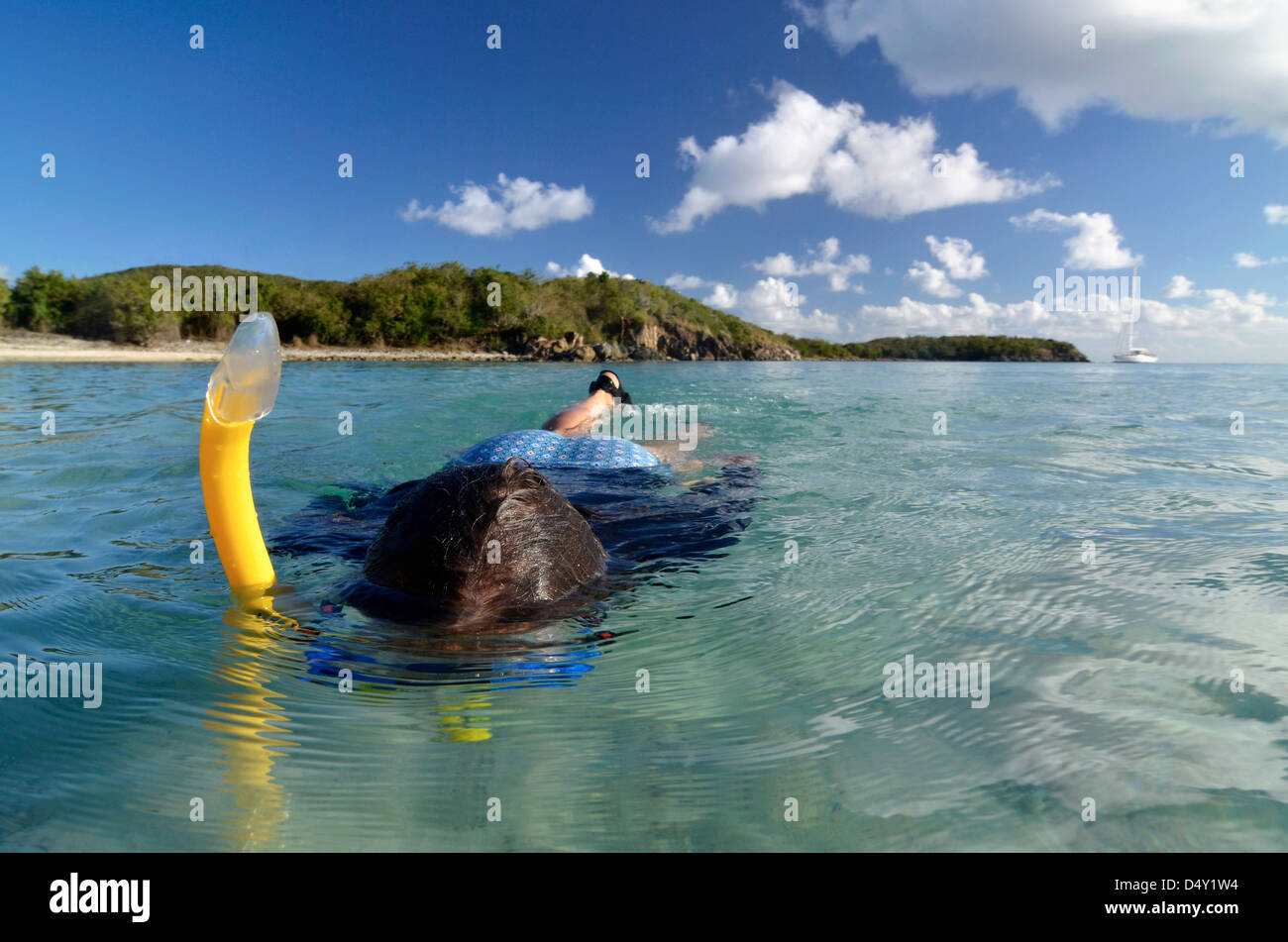 Snorkeling nel Parco Nazionale delle Isole Vergini, San Giovanni, U.S. Isole Vergini. Foto Stock