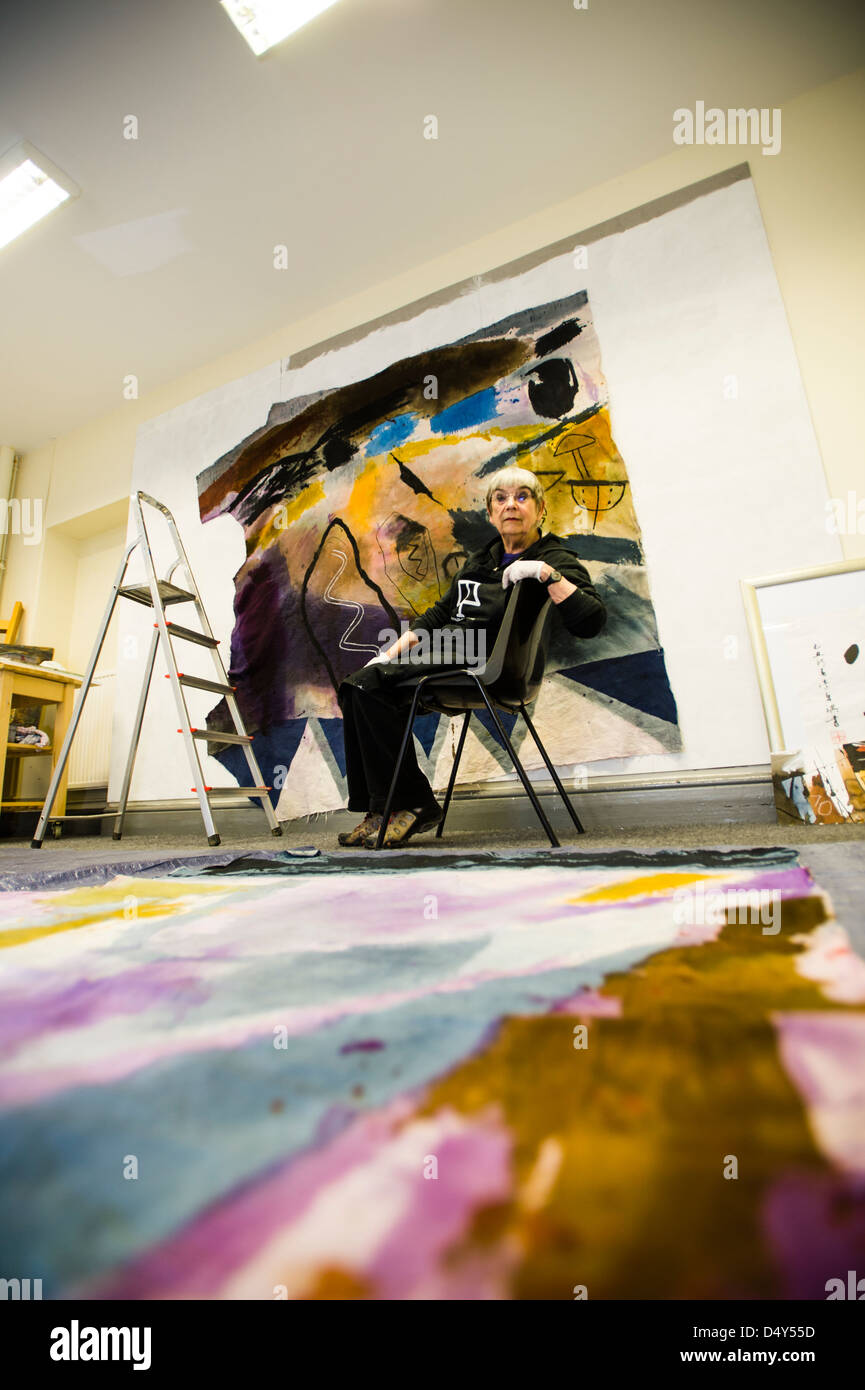 Maria LLOYD JONES. welsh donna femmina artista pittore nel suo studio a Aberystwyth Wales UK Foto Stock
