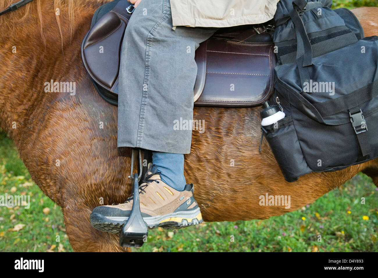 L'Europa, Italia, Toscana, la Garfagnana, Fabbriche di Vallico area, ranch la fornace, trekking a cavallo, attrezzature per il trekking Foto Stock