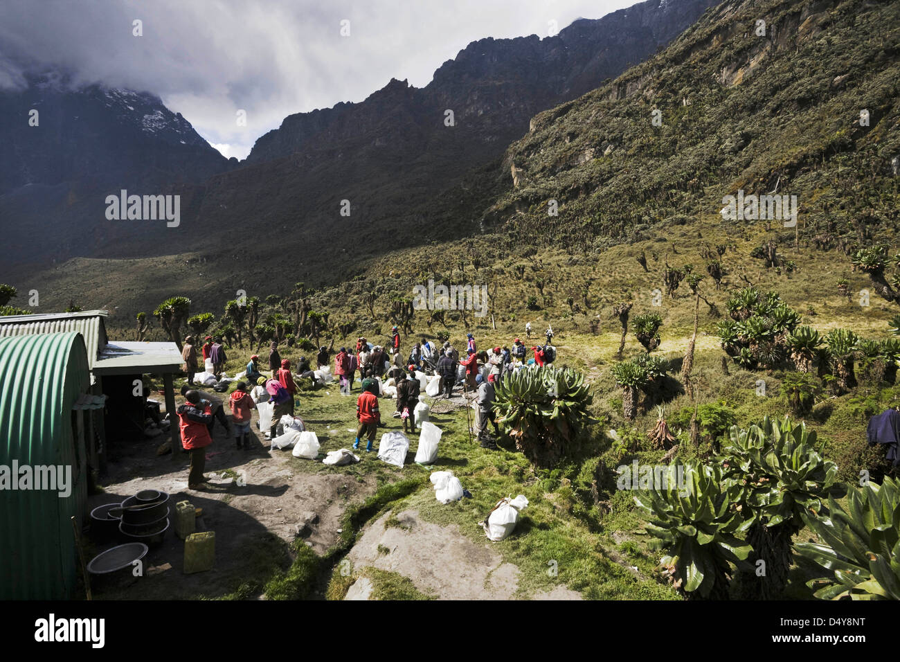 Facchini preparando per avviare, Bujuku hut (3980m) Rwenzori, Uganda Foto Stock