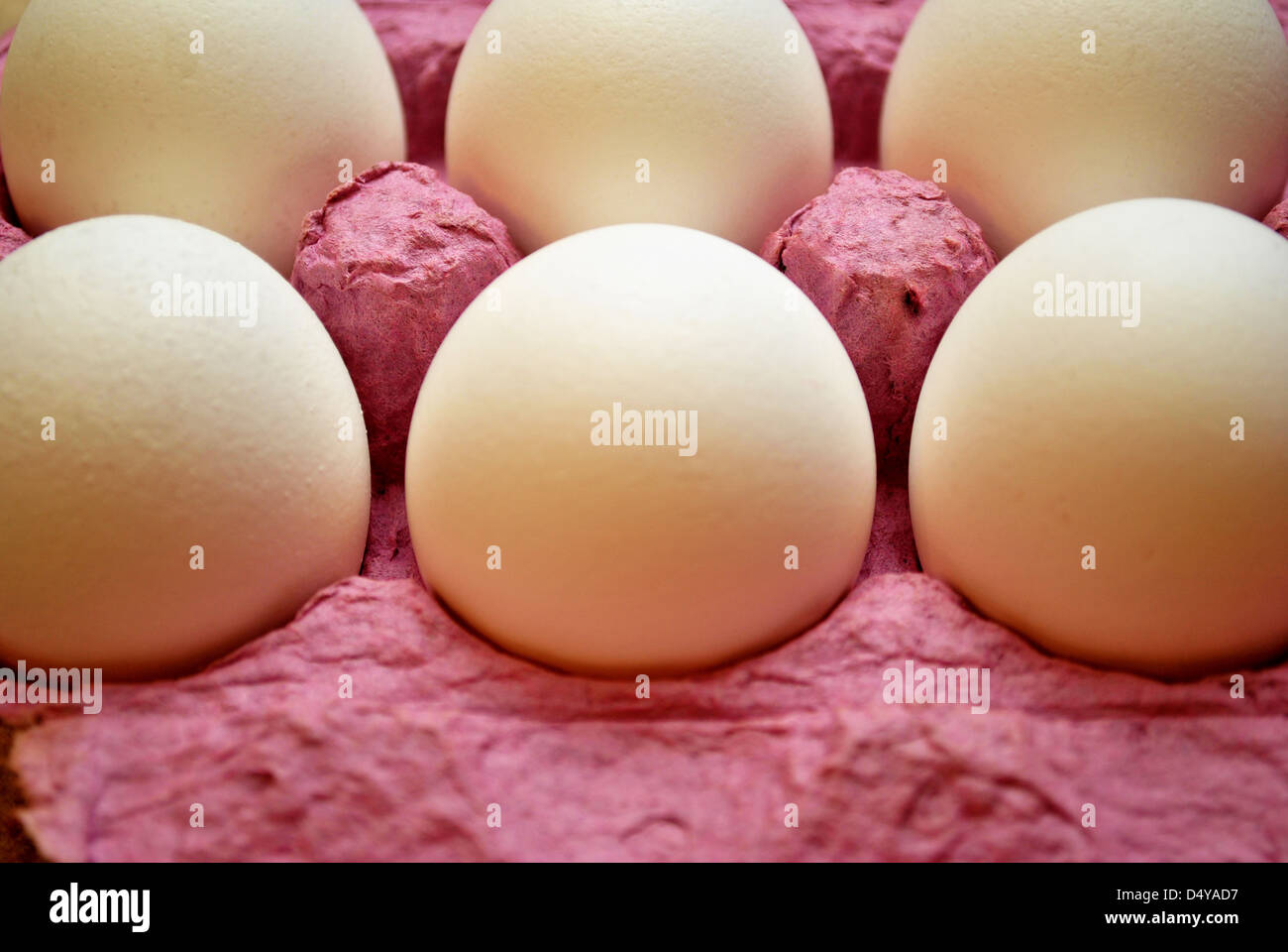 Le uova in una scatola di cartone di colore rosa Foto Stock