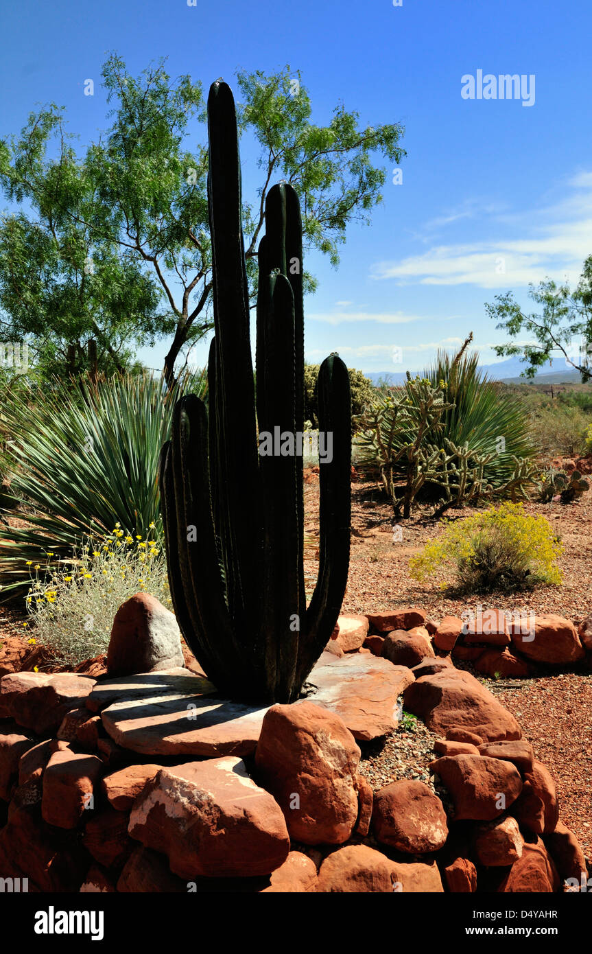 Giardino di cactus al Coyote Gulch Art Village in Kayenta comunità, Ivins, Utah Foto Stock