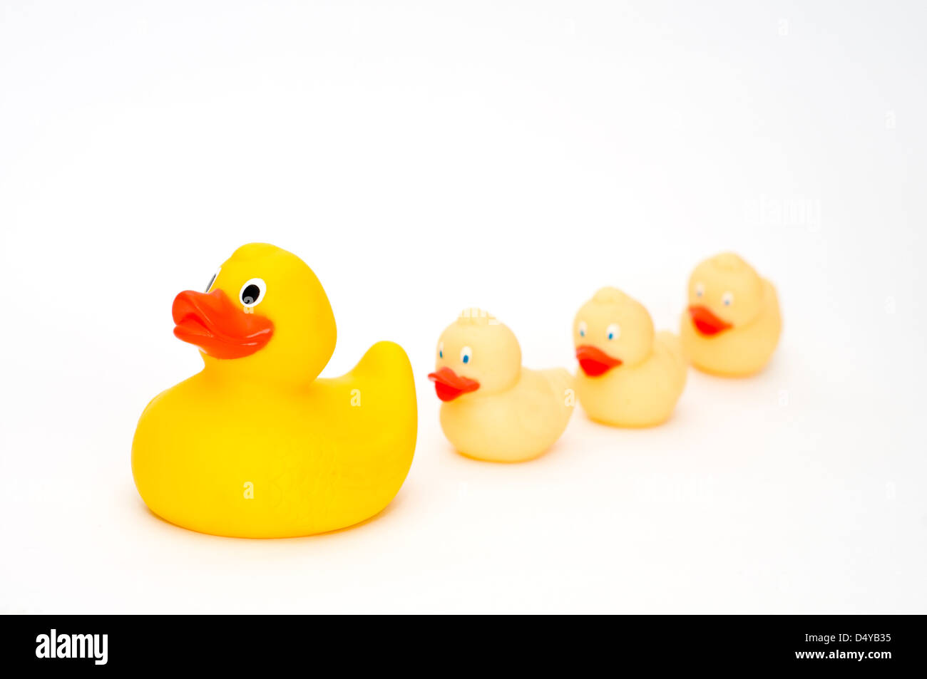 Giallo quattro papere di gomma su sfondo bianco Foto Stock