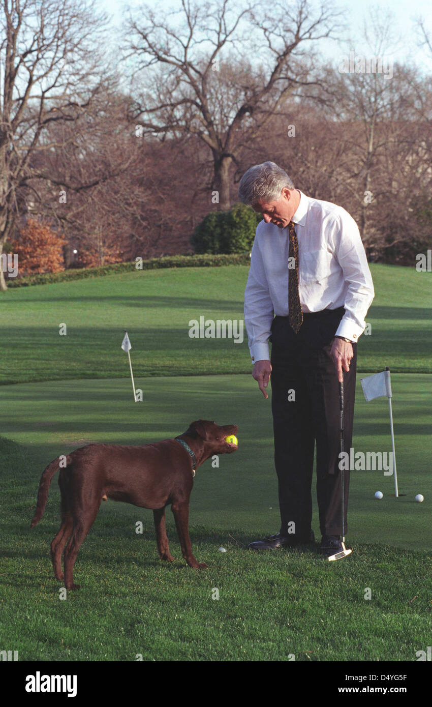 Fotografia del presidente William Jefferson Clinton giocando con Buddy il cane sul Putting Green sulla South Lawn: 02/10/1998 Foto Stock