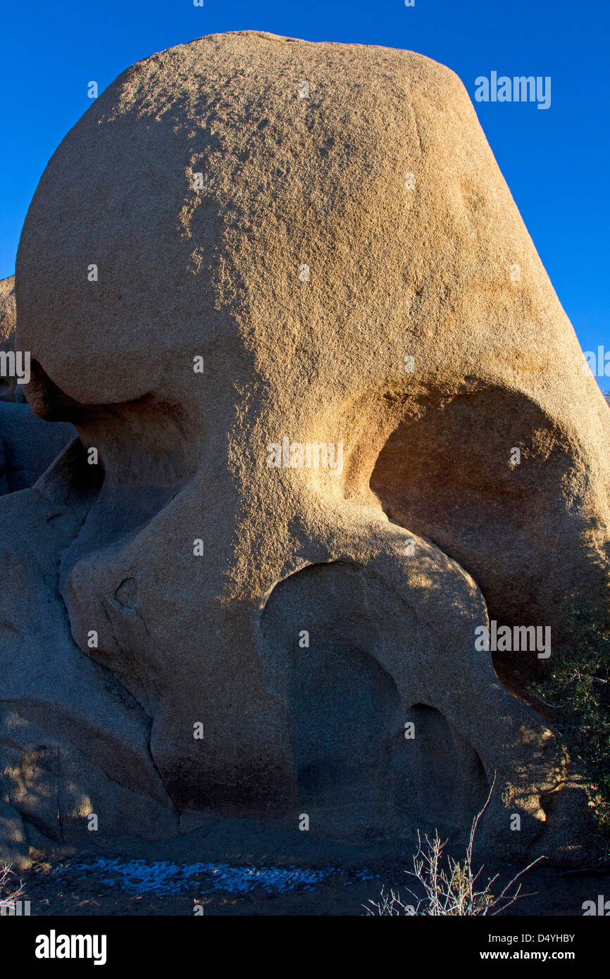 Cranio Rock, un singolare ed unica roccia di granito in formazione il Joshua Tree National Park, California USA nel mese di gennaio Foto Stock
