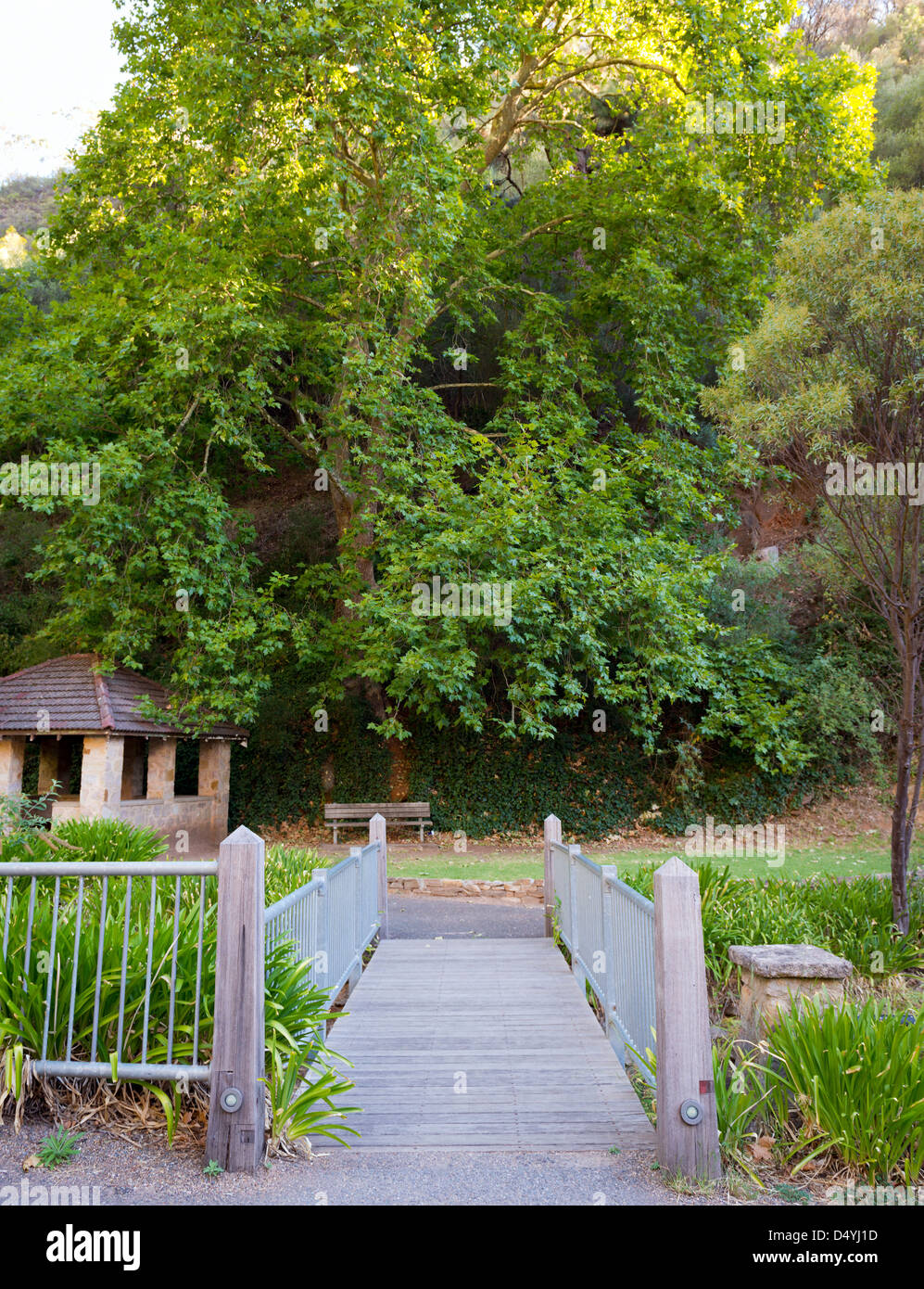Percorso attraverso lussureggiante foresta verde in Australia Foto Stock