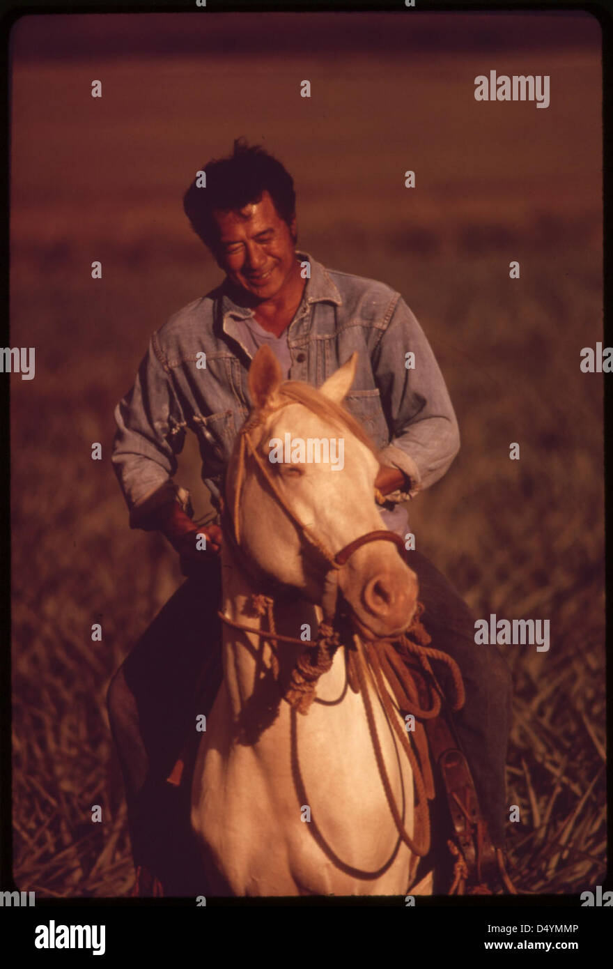 Henri Aki allena il suo cavallo vicino a Lanai City, Hawaii, nell'ottobre 1973, con campi di ananas che occupano 16.000 acri della terra dell'isola. In questo modo, l'agricoltura e il ranch della regione si fondono. Foto Stock