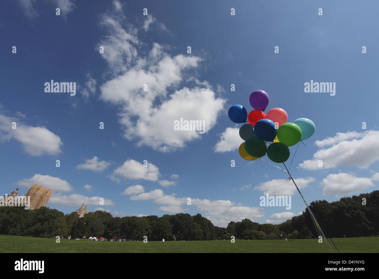 Palloncini volanti nel Central Park di New York, Stati Uniti d'America Foto Stock