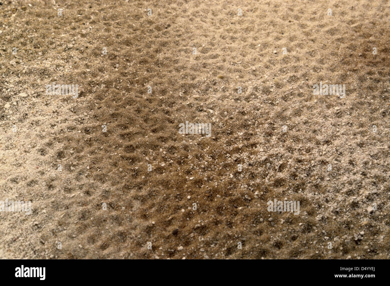 Telaio completo abstract superficie di sabbia con un sacco di ammaccature Foto Stock