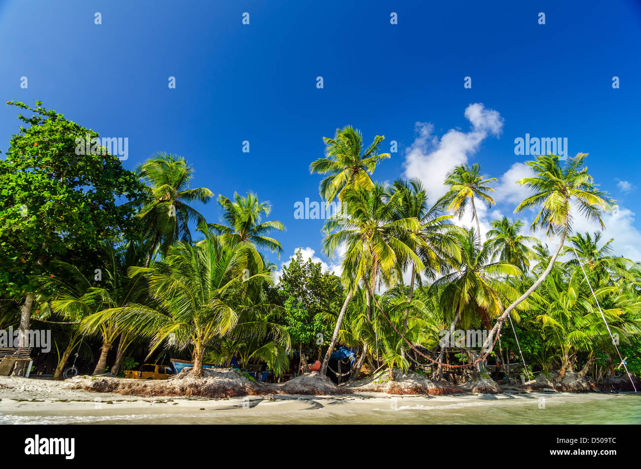 Gli alberi di palma sulla costa dei Caraibi con una appartata ristorante dietro di loro in San Andres y Providencia, Colombia Foto Stock