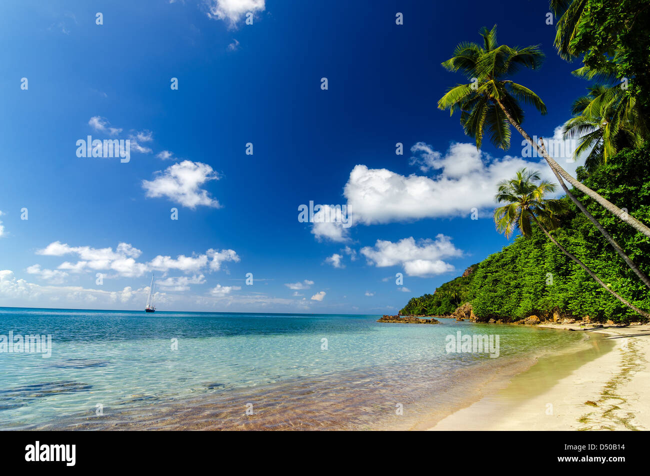 Spiaggia e palme sul Mare dei Caraibi e uno yacht Foto Stock