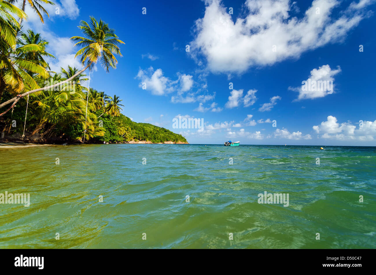 Vista del Mar dei Caraibi e fiancheggiata da palme in riva San Andres y Providencia, Colombia Foto Stock