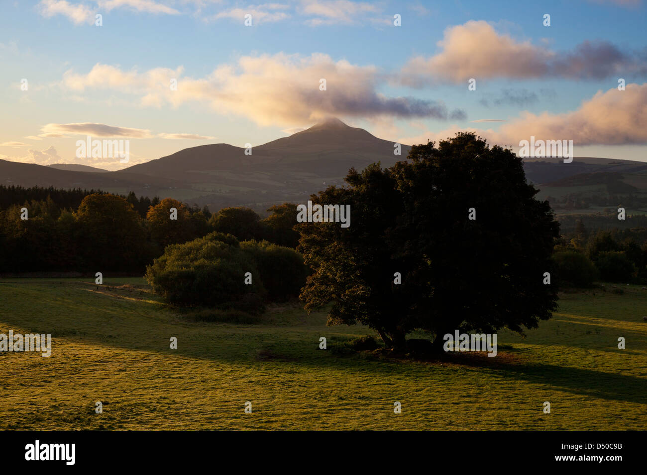 Alba sul grande la montagna Sugar Loaf da al Powerscourt estate, County Wicklow, Irlanda. Foto Stock