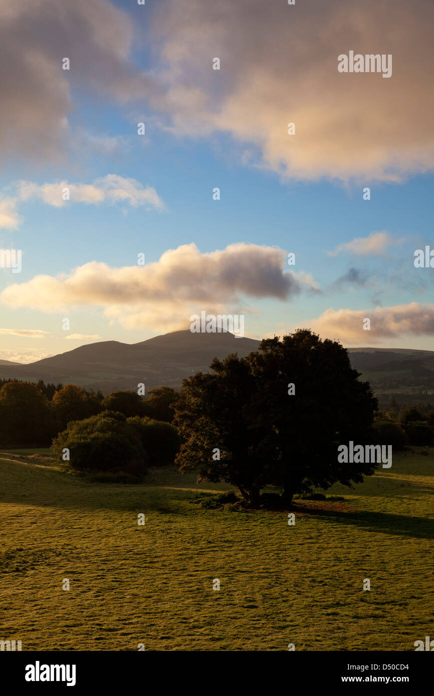 Alba sul grande la montagna Sugar Loaf da al Powerscourt estate, County Wicklow, Irlanda. Foto Stock