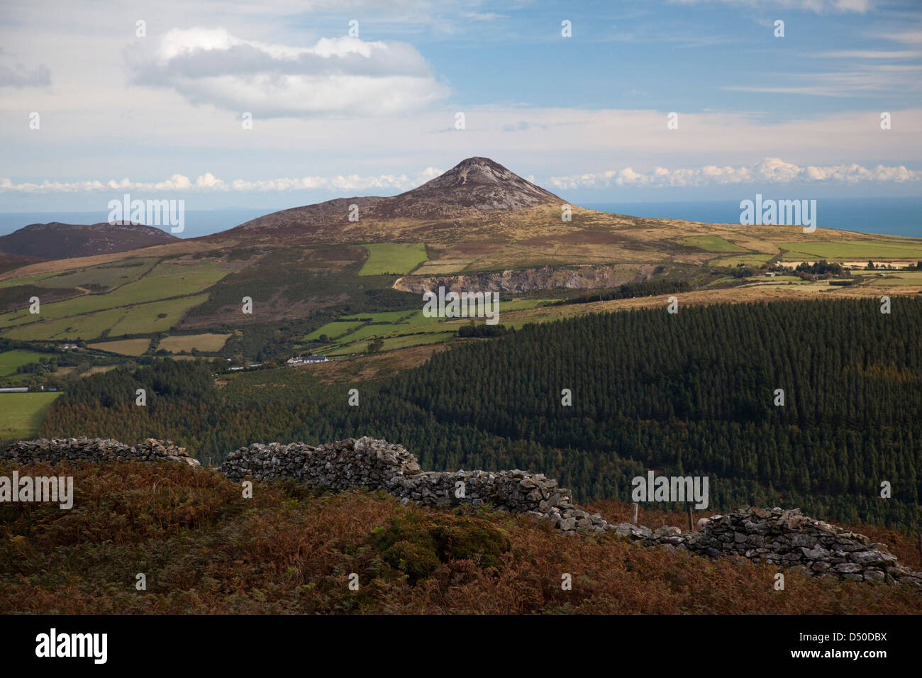 Grande Sugarloaf mountain visto dalle pendici del Mauilin, County Wicklow, Irlanda. Foto Stock