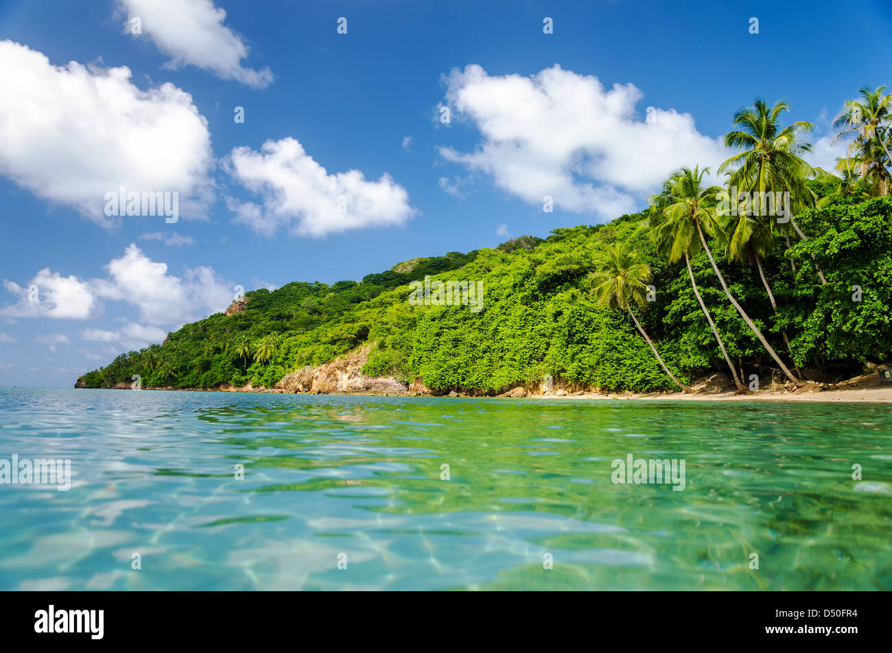 Verde e lussureggiante costa di Isola tropicale in Colombia Foto Stock