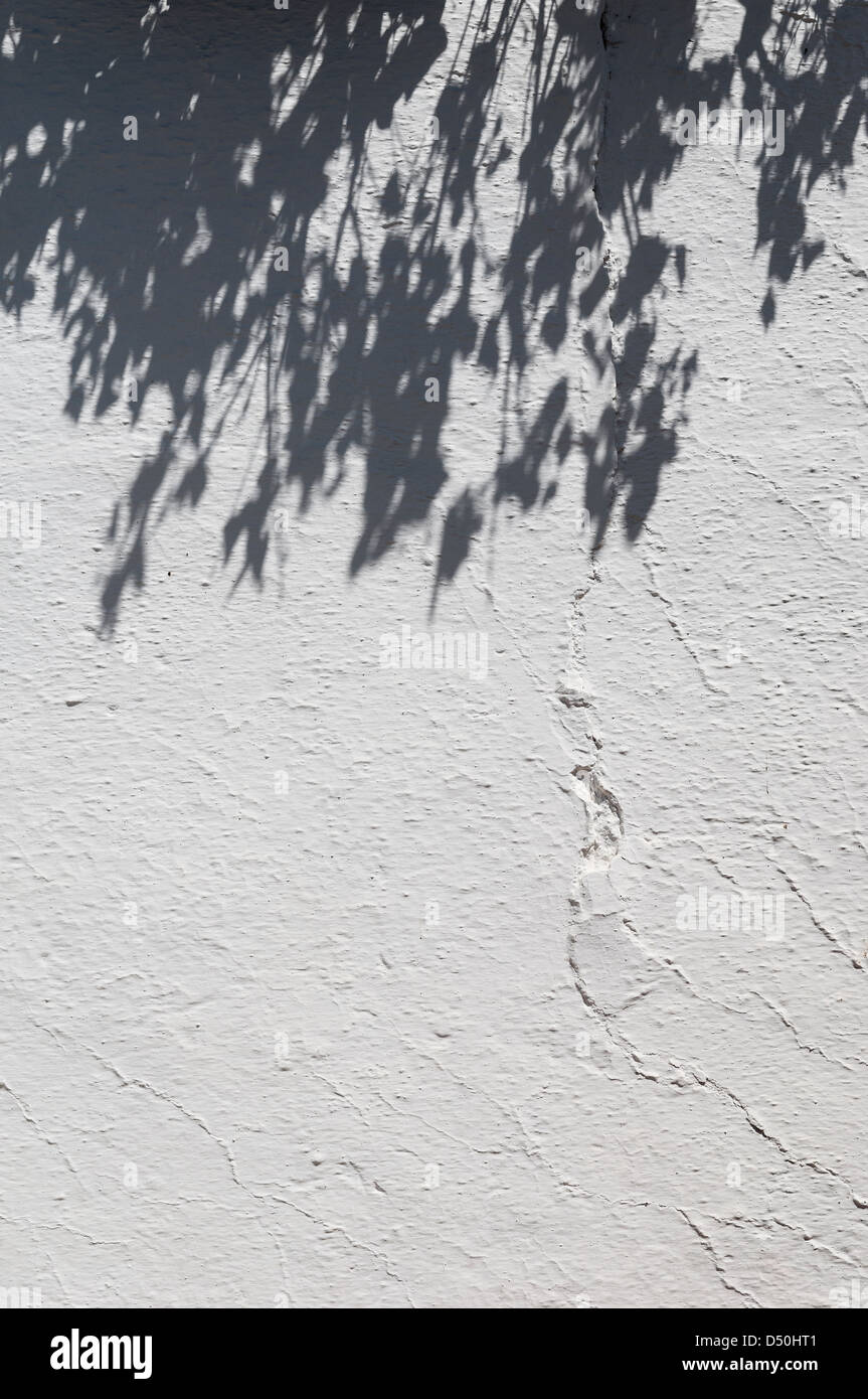 Ombre di un ramo di albero su una parete dipinta di bianco, Portogallo Foto Stock